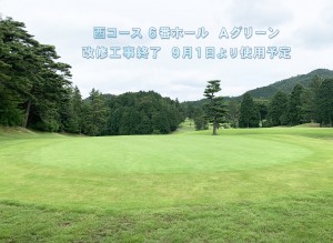 西6Aグリーン使用について